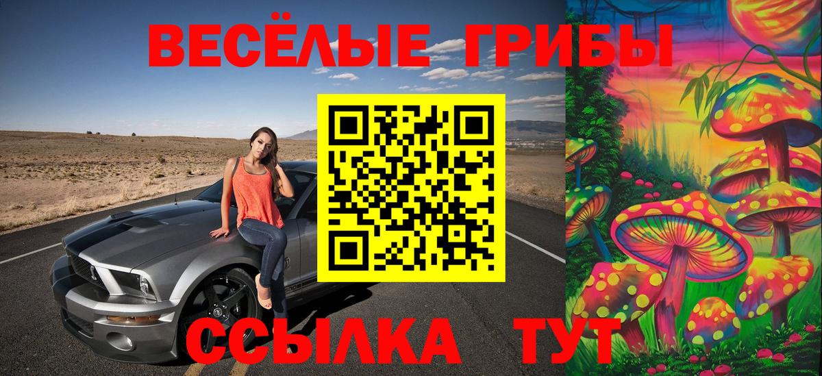 Псилоцибиновые грибы Magic Shrooms  Вход с VPN  Псилоцибиновые грибы GOLDEN TEACHER  Саратов 